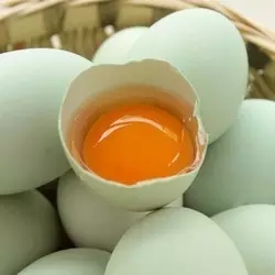 株洲绿皮鸡蛋
